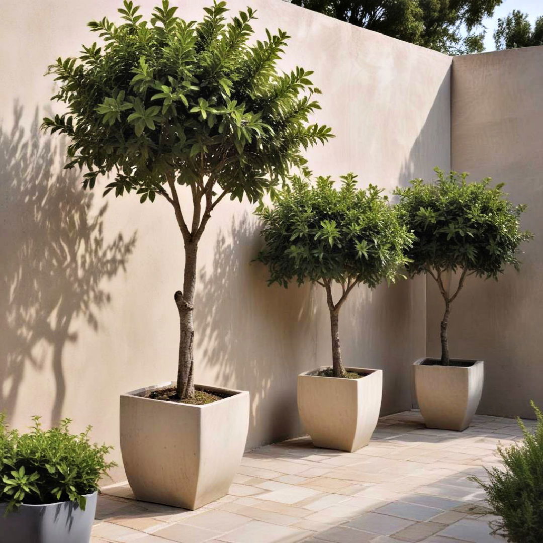 potted trees