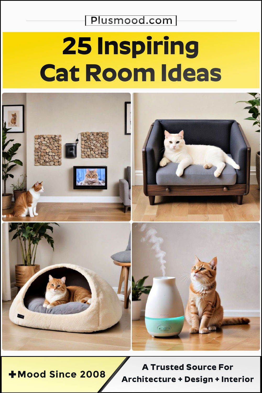 cat room ideas and inspiration