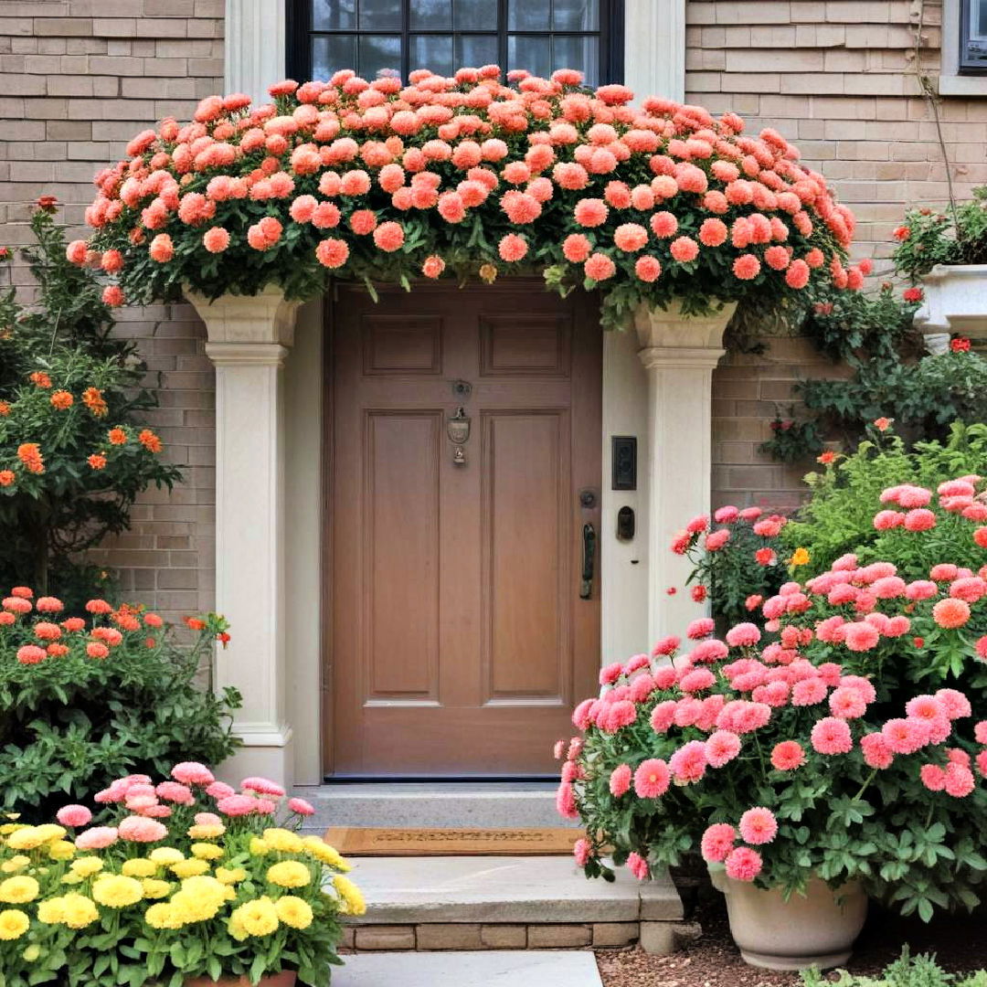 chrysanthemums