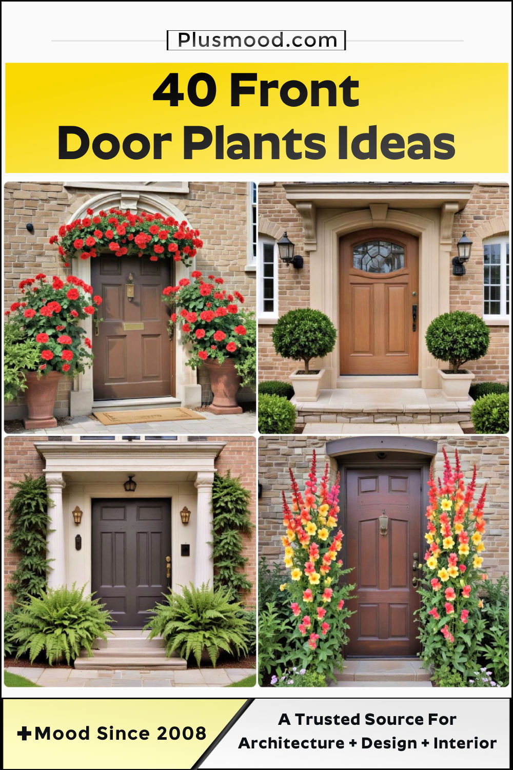 front door plants ideas and inspiration