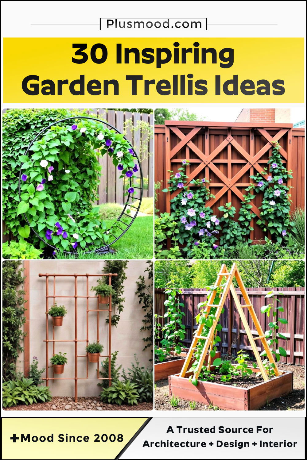 garden trellis ideas and inspiration