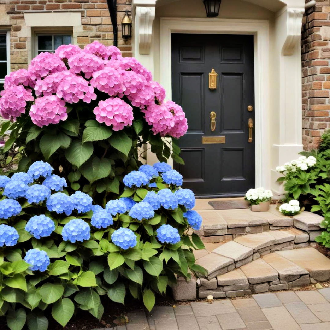 hydrangeas