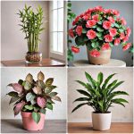 indoor plants that don t need sun