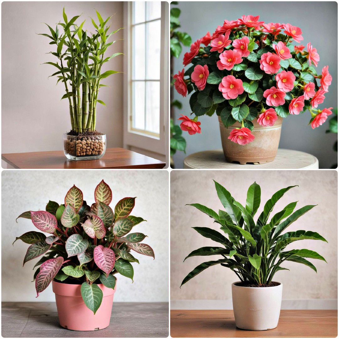 25 Indoor Plants That Don’t Need Sun for Low-Light Spaces