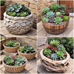 outdoor succulent container ideas