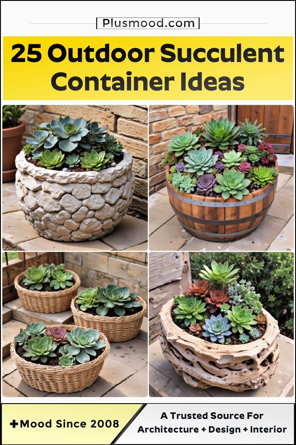 outdoor succulent container ideas and inspiration