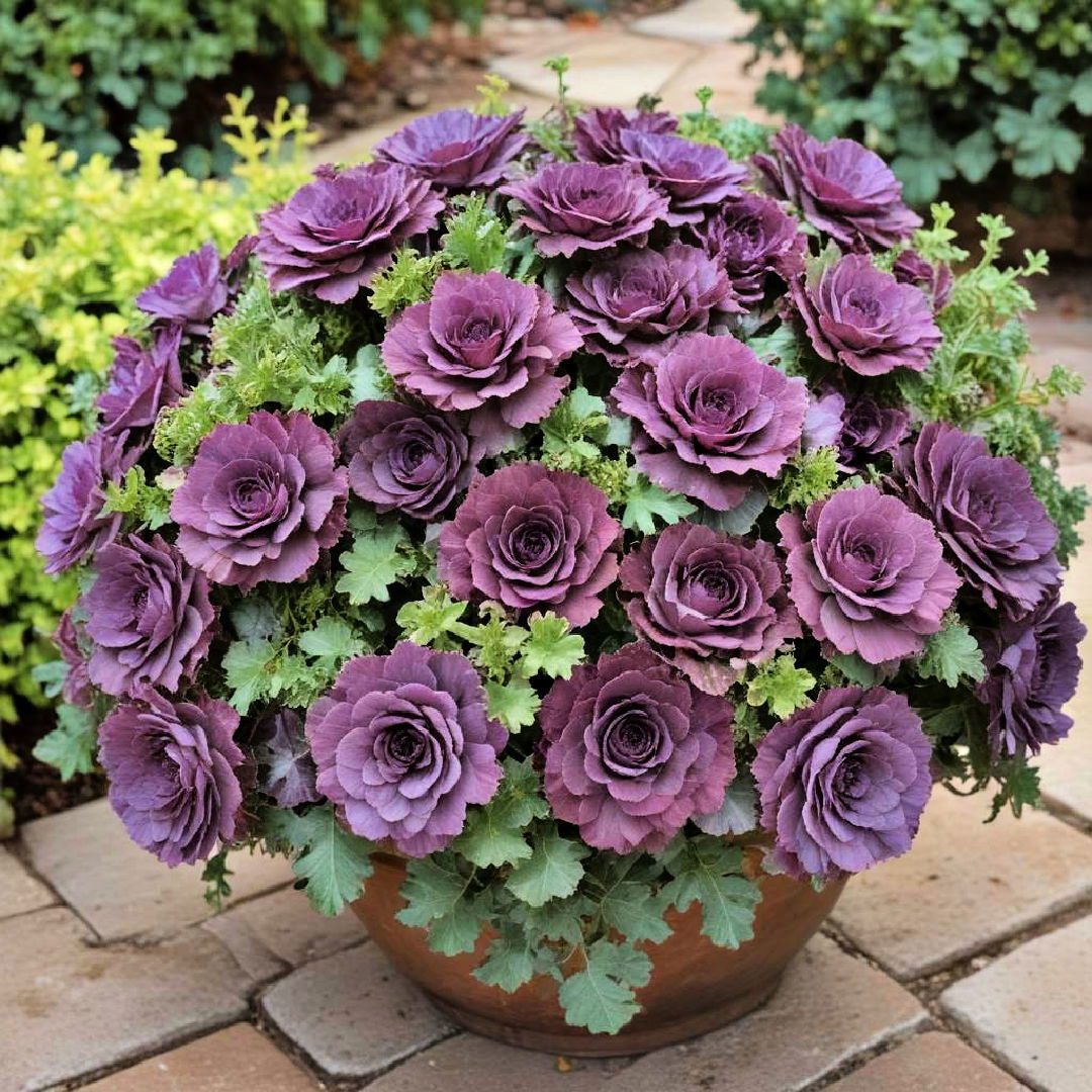 rustic ornamental kale