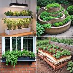 vegetable garden ideas