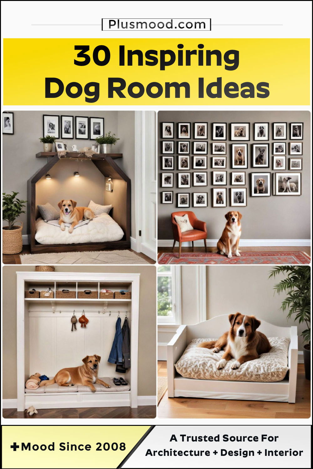 dog room ideas to copy