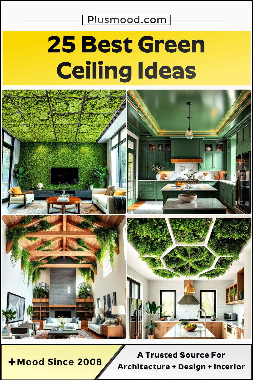 green ceiling ideas and inspiration