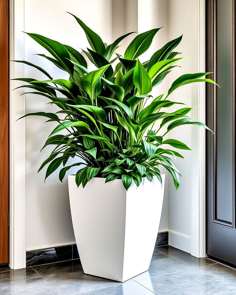 oversized planters