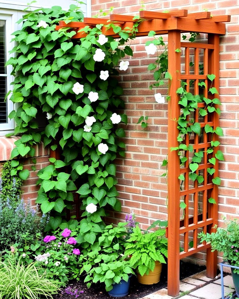 add a trellis with climbing plants