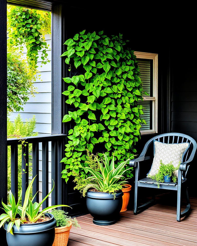 black porch with vertical gardens
