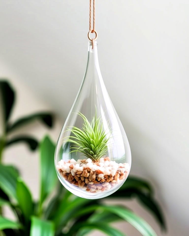hanging teardrop terrarium