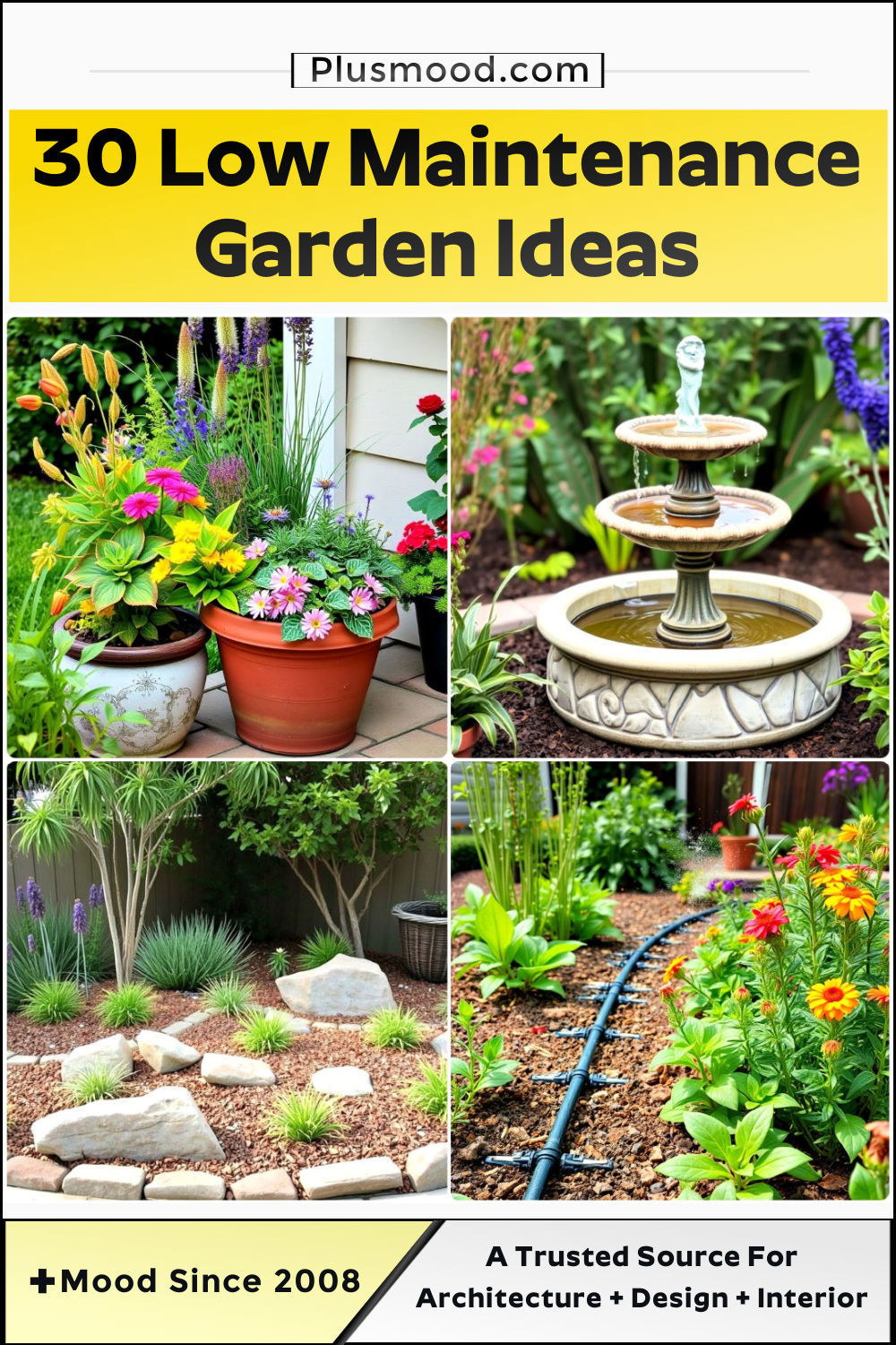 low maintenance garden ideas and inspiration