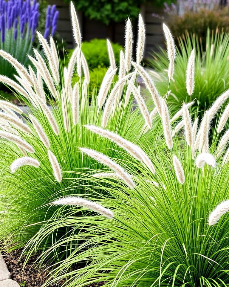 low maintenance ornamental grass garden
