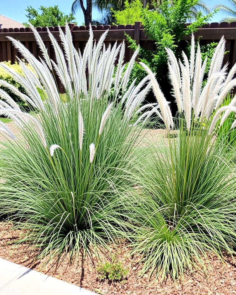 ornamental grass xeriscape garden