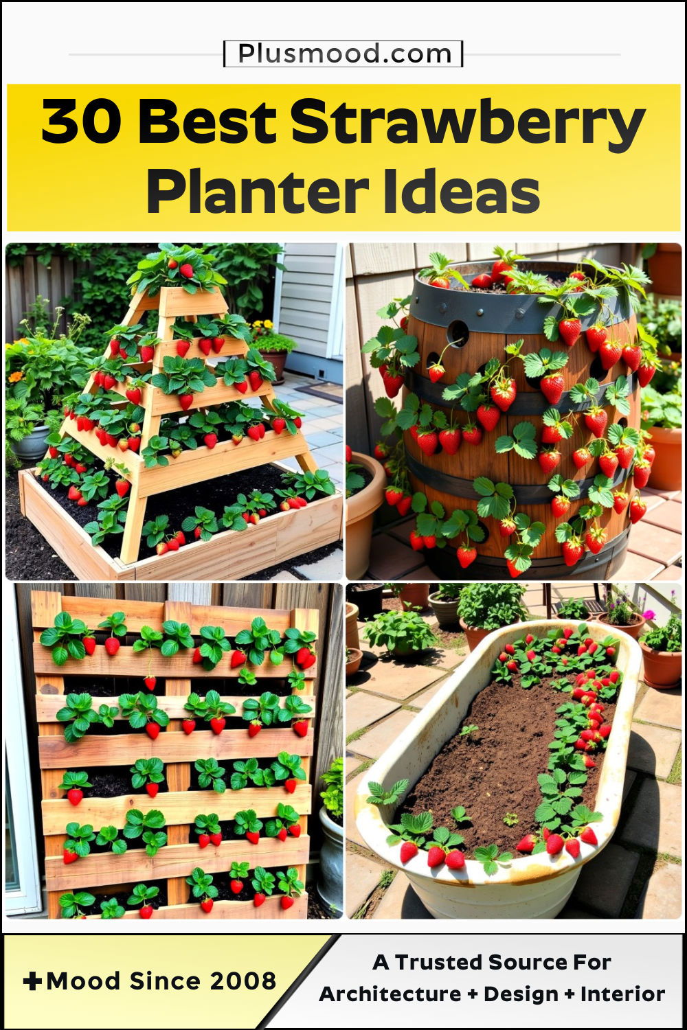 strawberry planter ideas and inspiration
