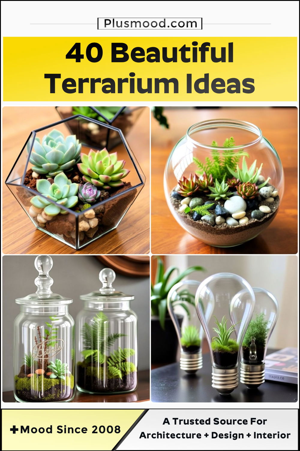 terrarium ideas and inspiration