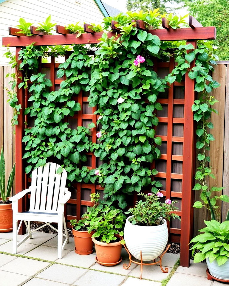 trellis with potted plants for privacy