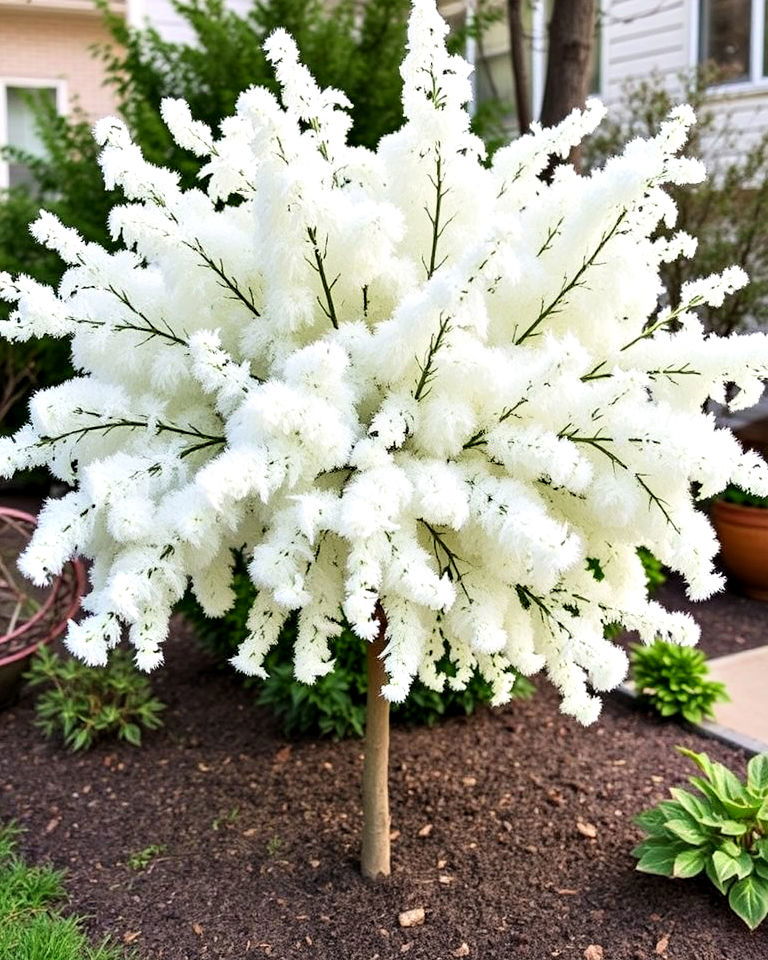 unique small fringe tree