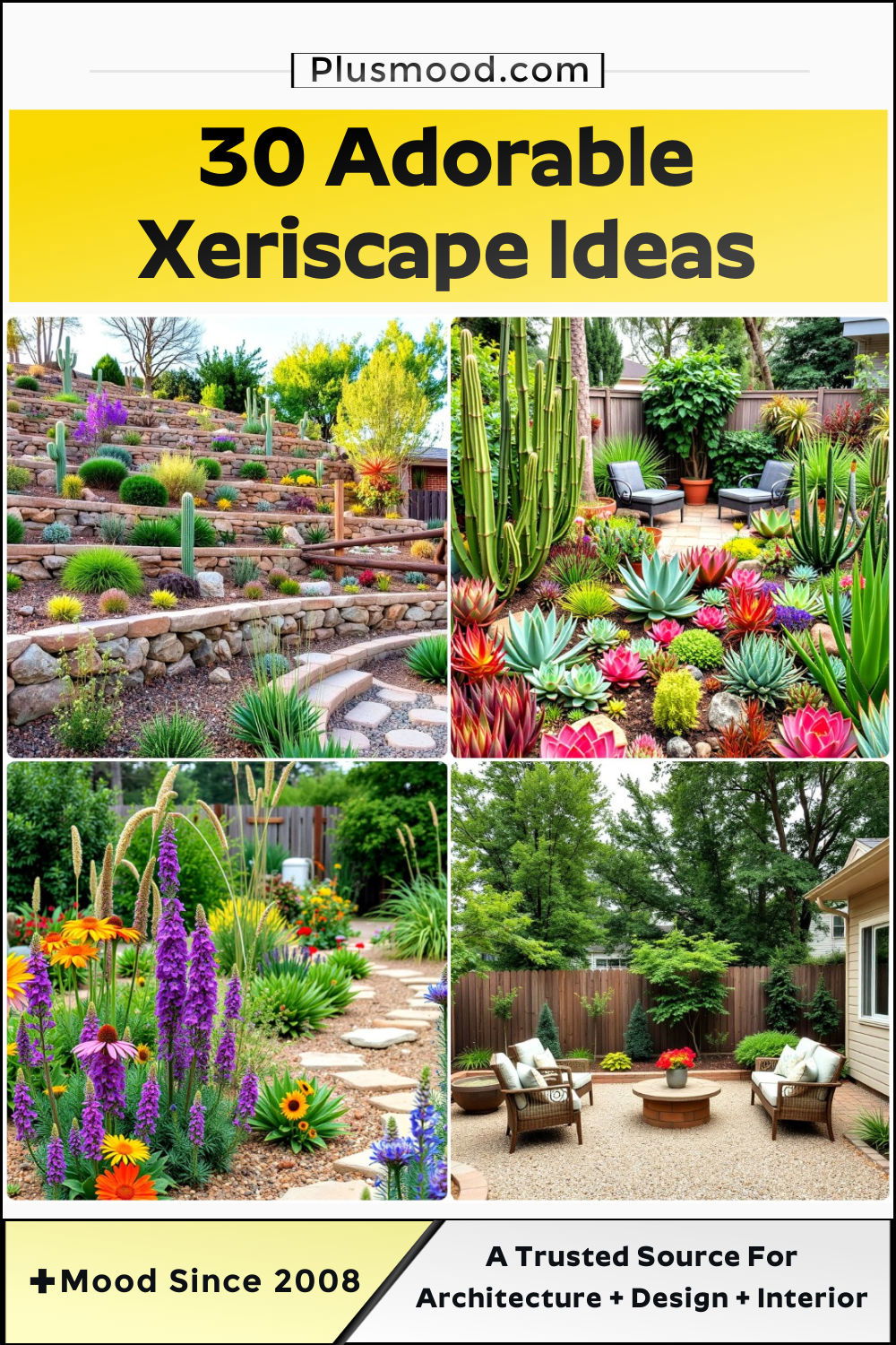 xeriscape ideas and inspiration