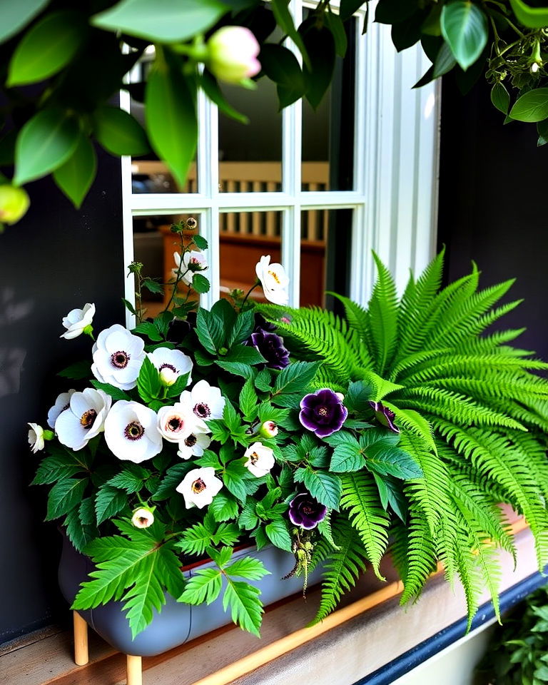 anemones and evergreen ferns for shaded window box anemones and evergreen ferns for shaded window box - 25 Combinations of Window Box Flowers for Shade