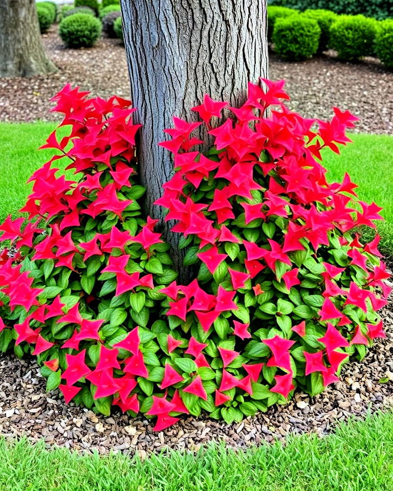 beautiful accent around trees - 20 Landscaping With Coral Bells