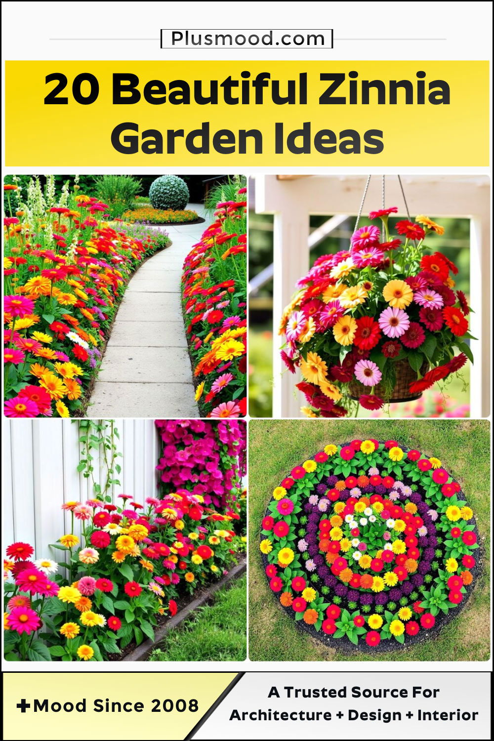 beautiful zinnia garden ideas