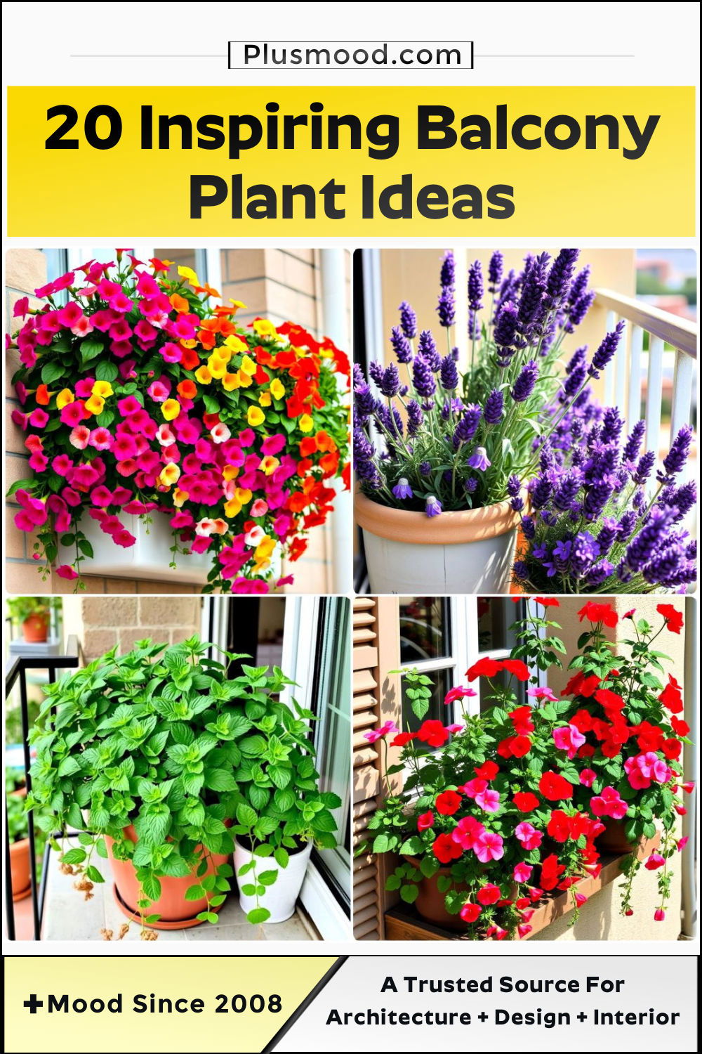 best balcony plants