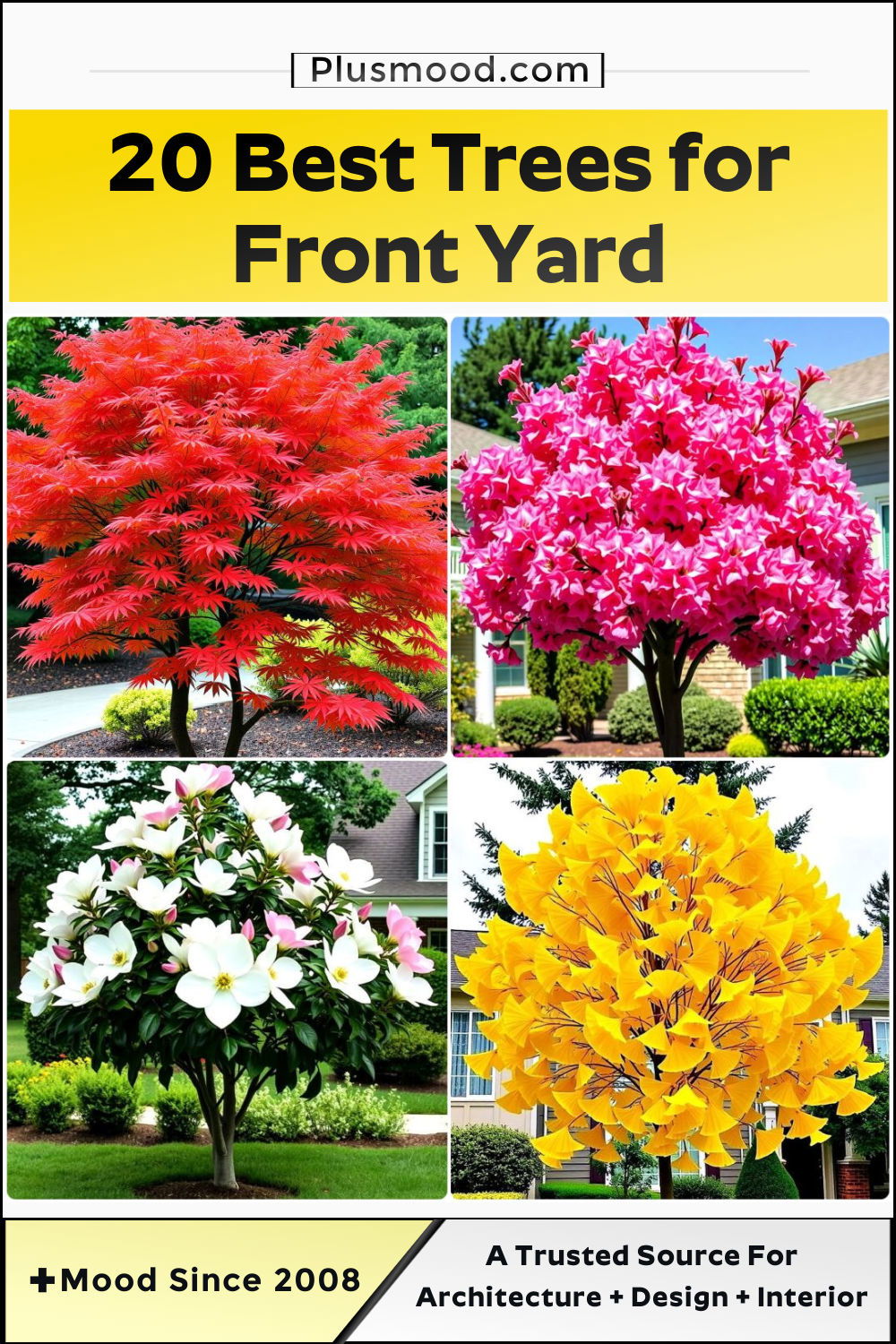 best trees for front yard to copy