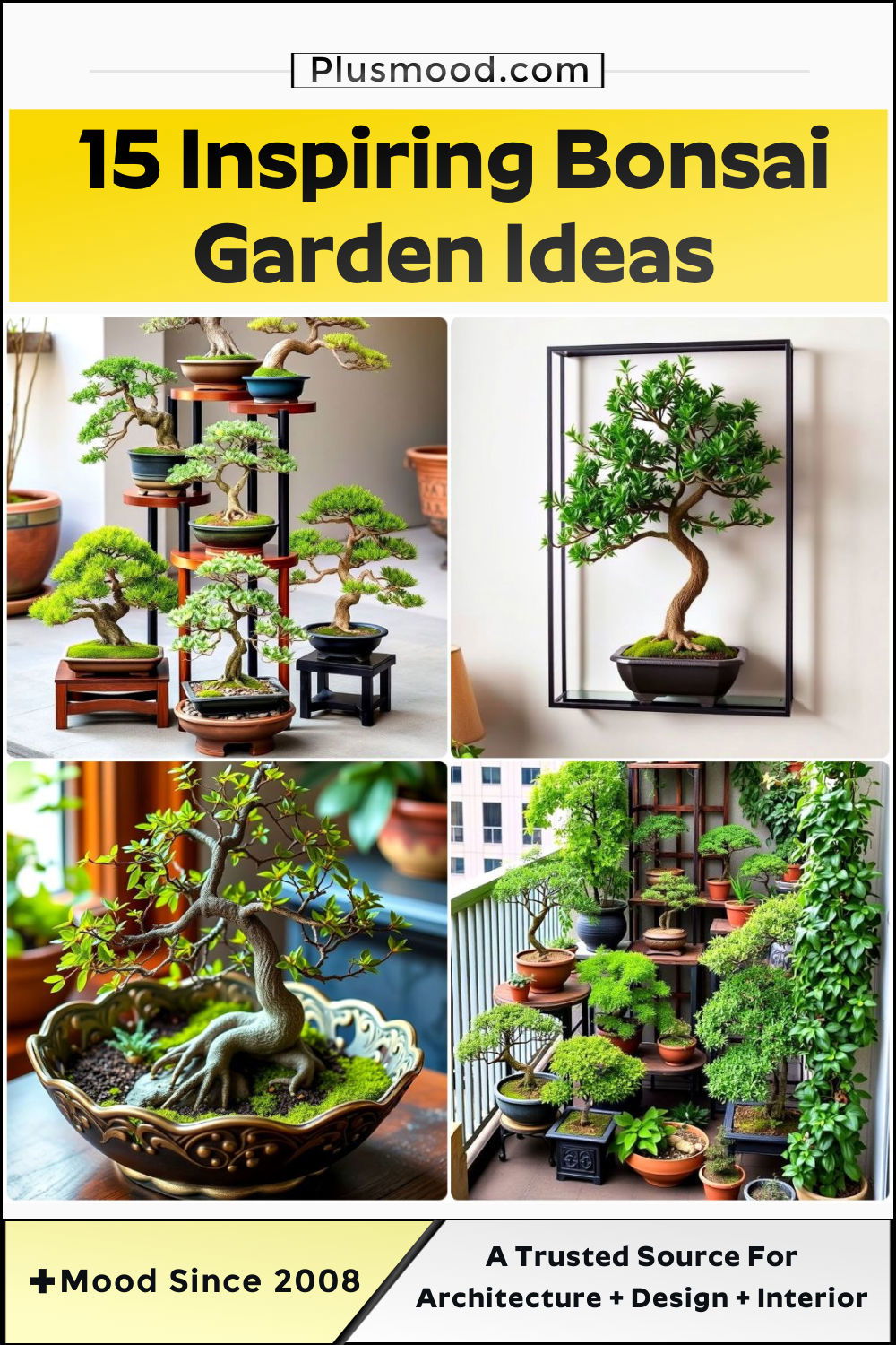 bonsai garden ideas