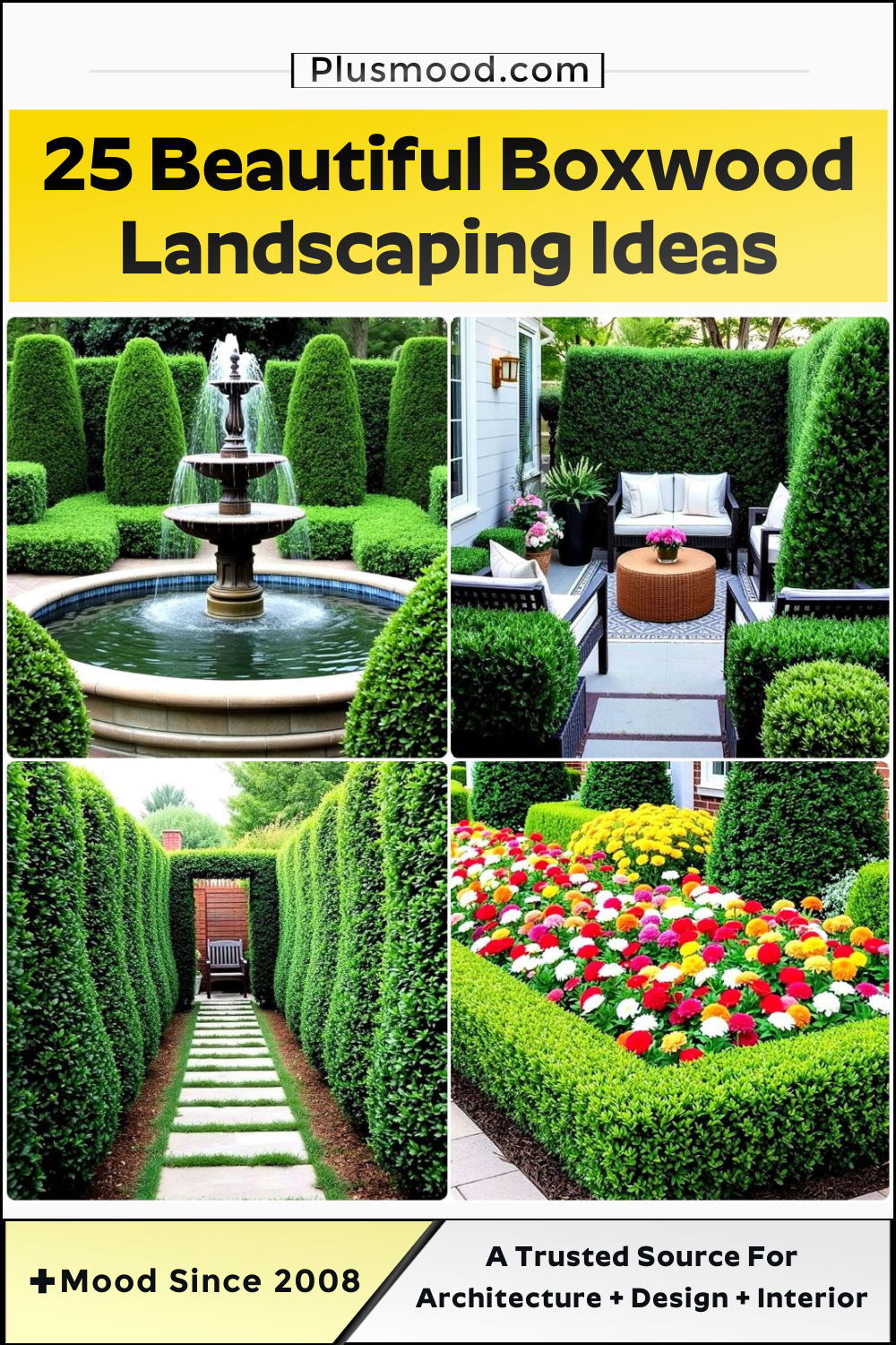 boxwood landscaping ideas
