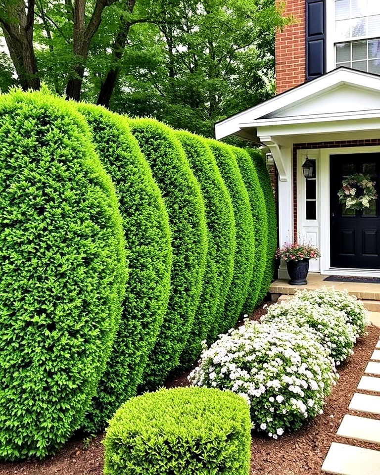 boxwood privacy screens for front yard - 20 Front Yard Boxwood Designs