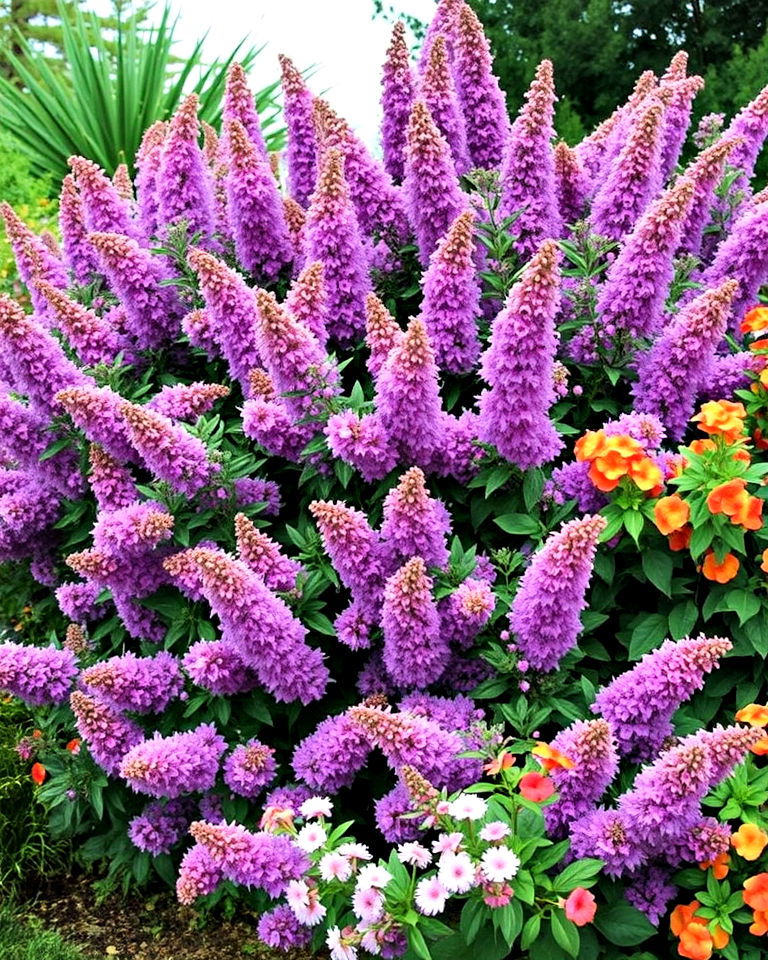 butterfly bush as a privacy screen - 15 Butterfly Bush Landscaping Ideas