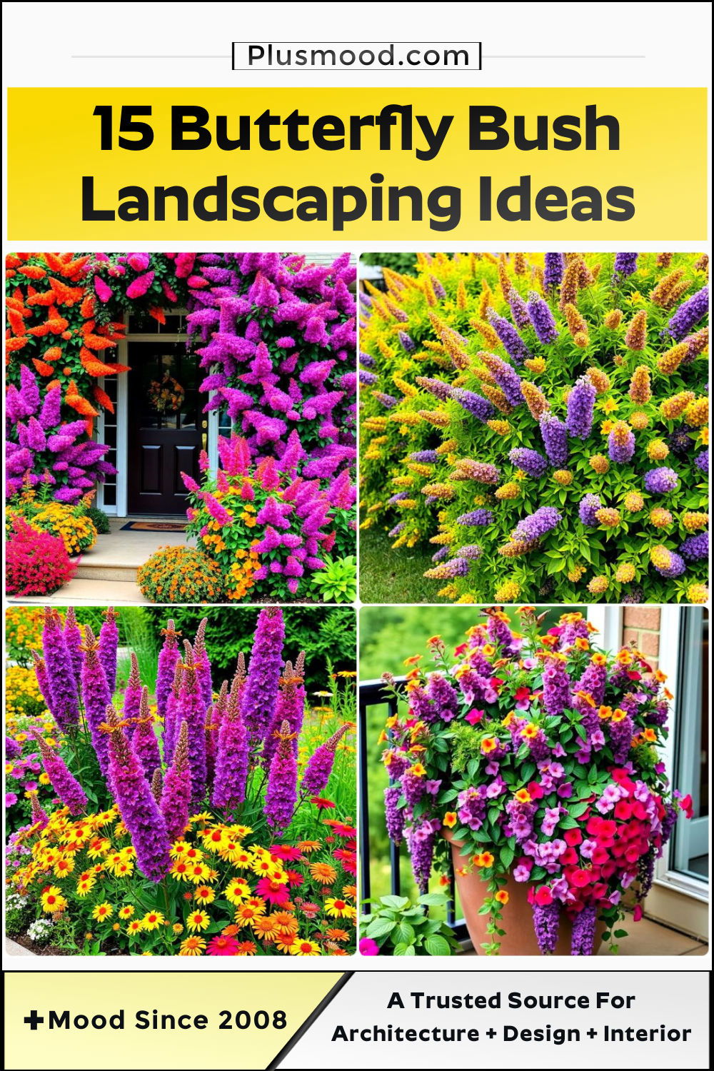 butterfly bush landscaping ideas