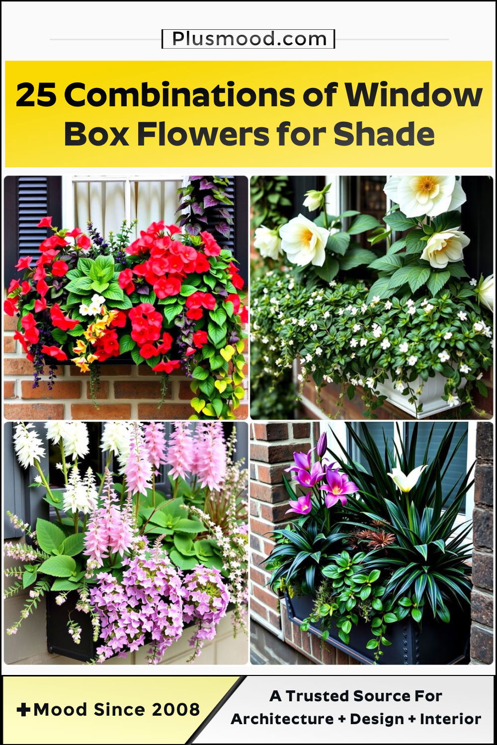 combination of window box flowers for shade