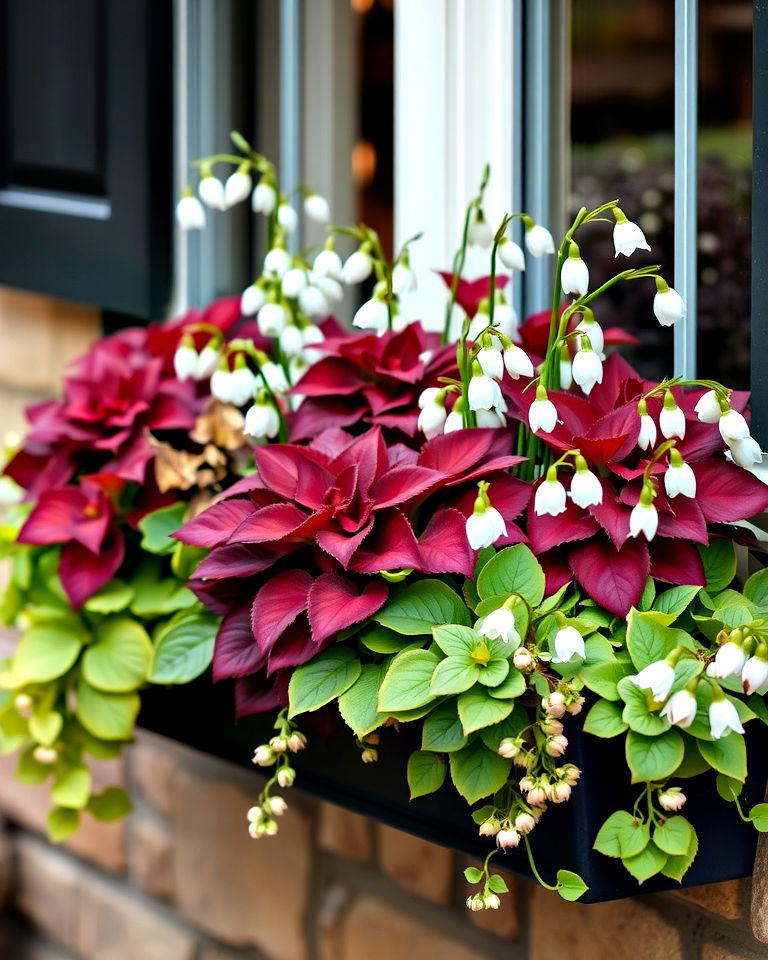 coral bells and snowdrops for window boxes coral bells and snowdrops for window boxes - 25 Combinations of Window Box Flowers for Shade