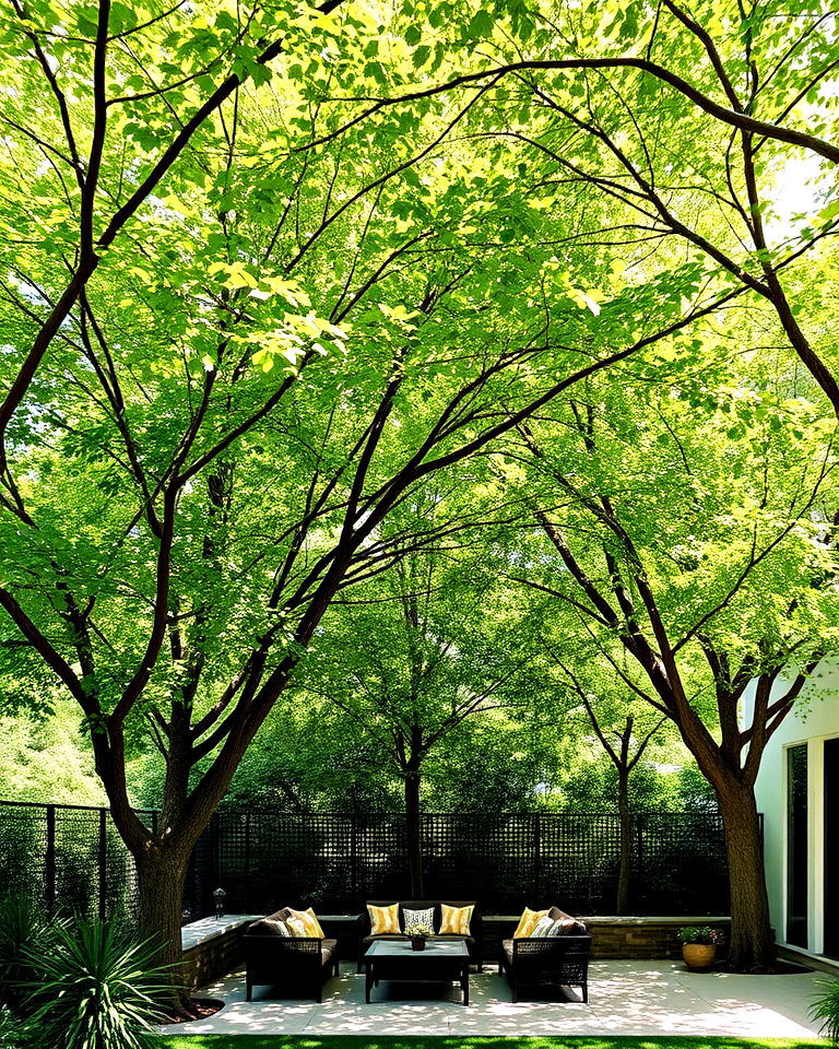create a tree shaded patio - 25 Tree Landscaping Ideas