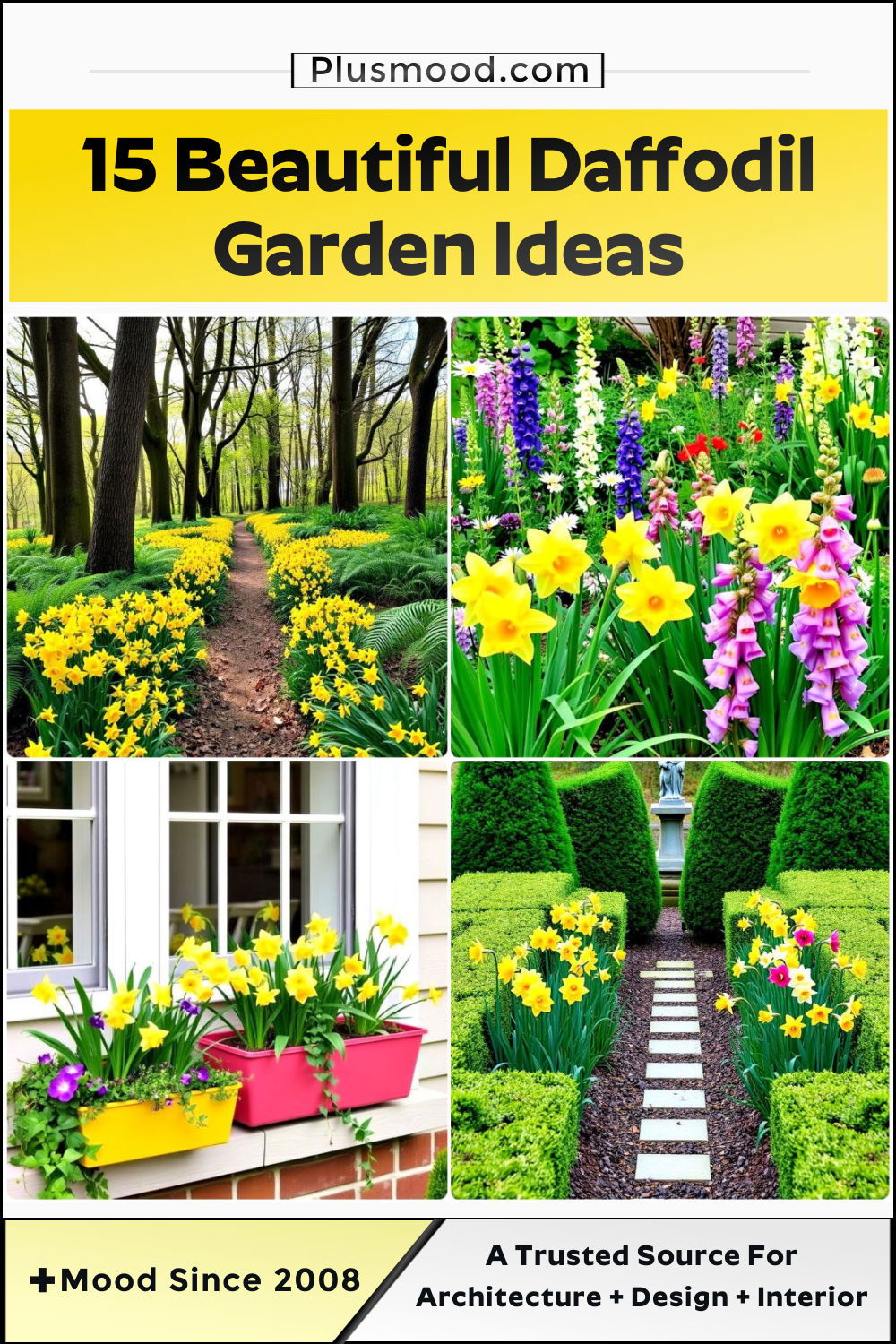 daffodil garden ideas