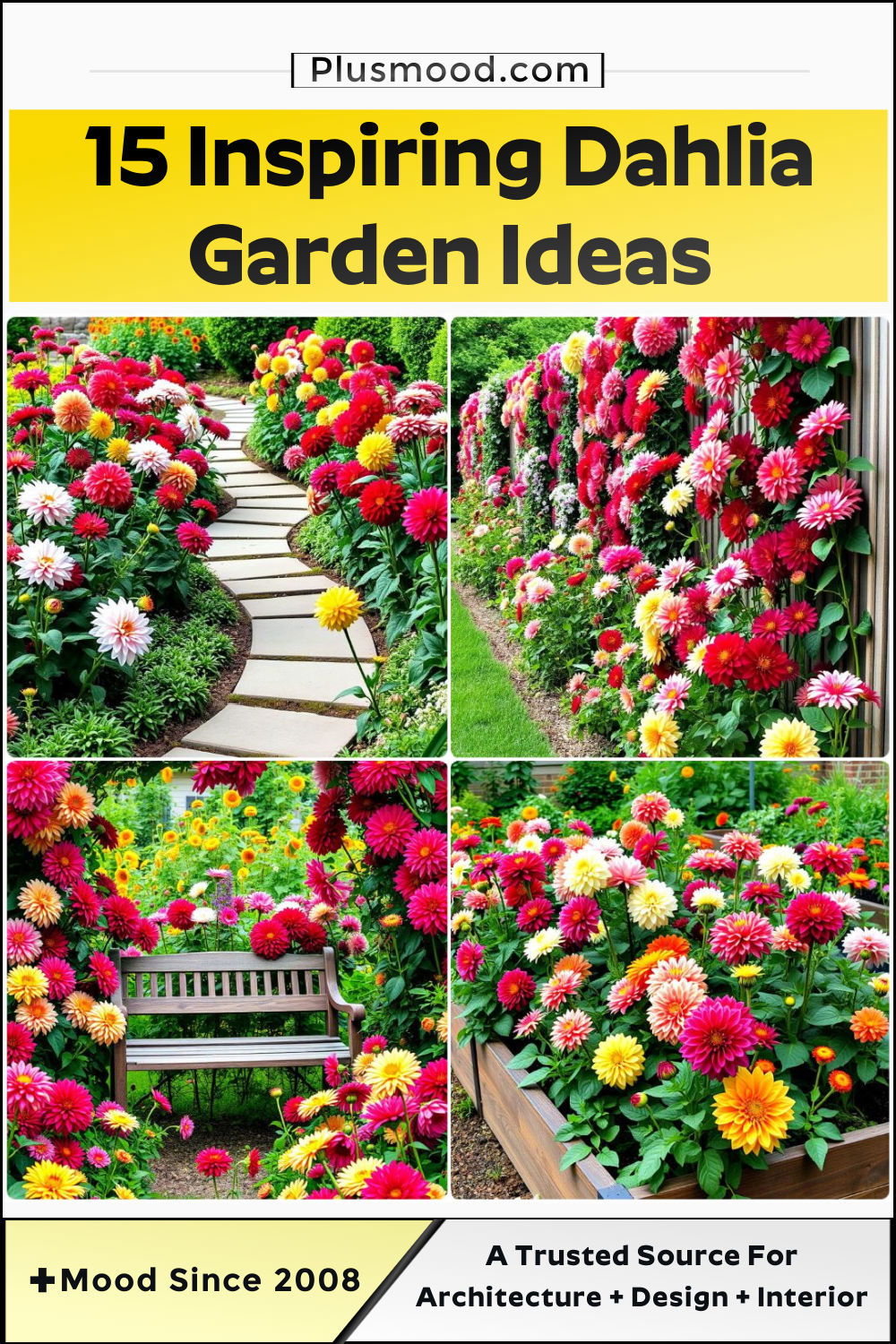 dahlia garden ideas to copy