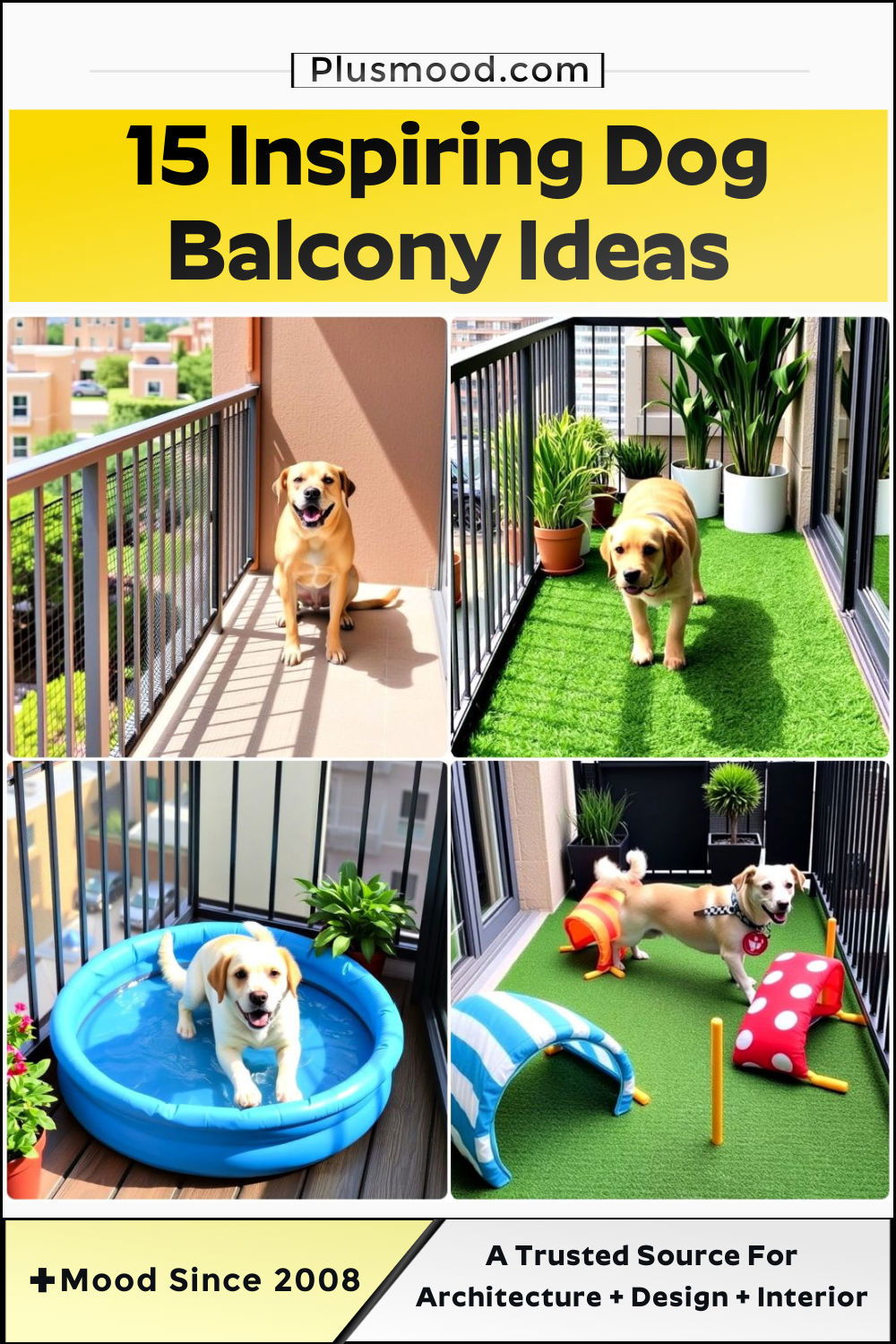 dog balcony ideas to copy