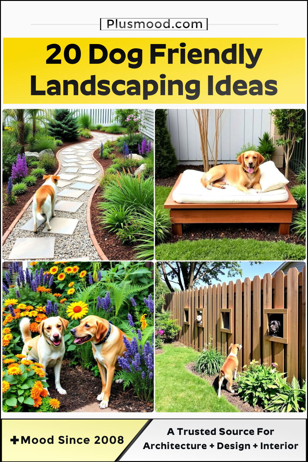 dog friendly landscaping ideas to copy