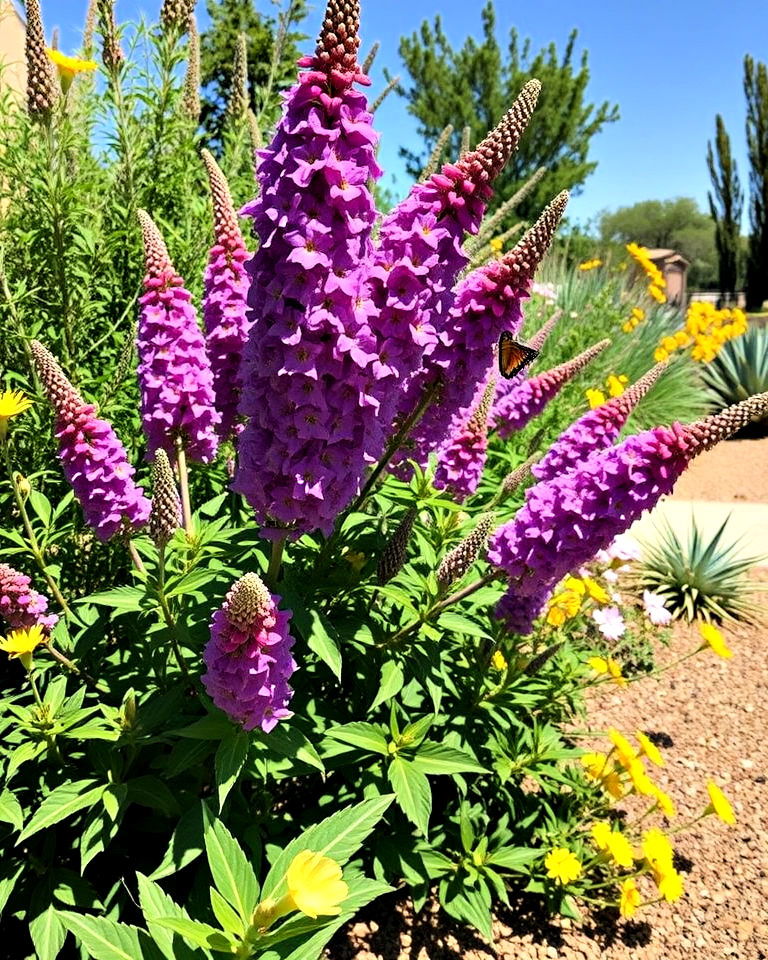 drought tolerant plants landscaping - 15 Butterfly Bush Landscaping Ideas