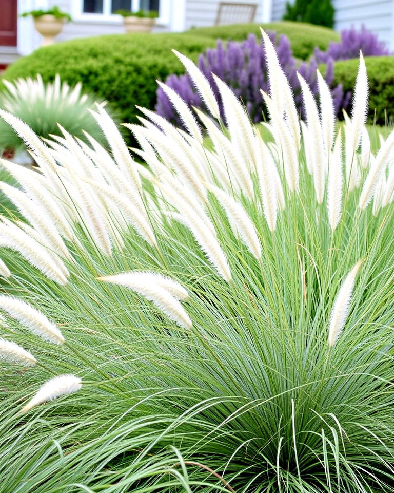 dune inspired grasses coastal landscaping - 25 Coastal Landscaping Ideas