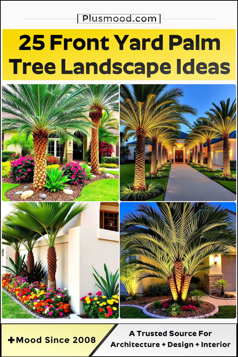 front yard palm tree landscape ideas