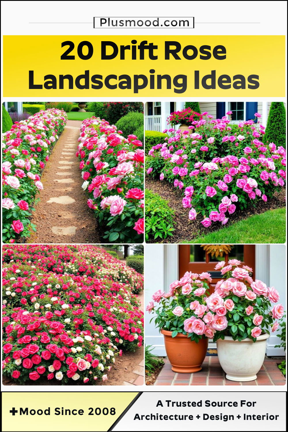 inspiring drift rose landscaping ideas