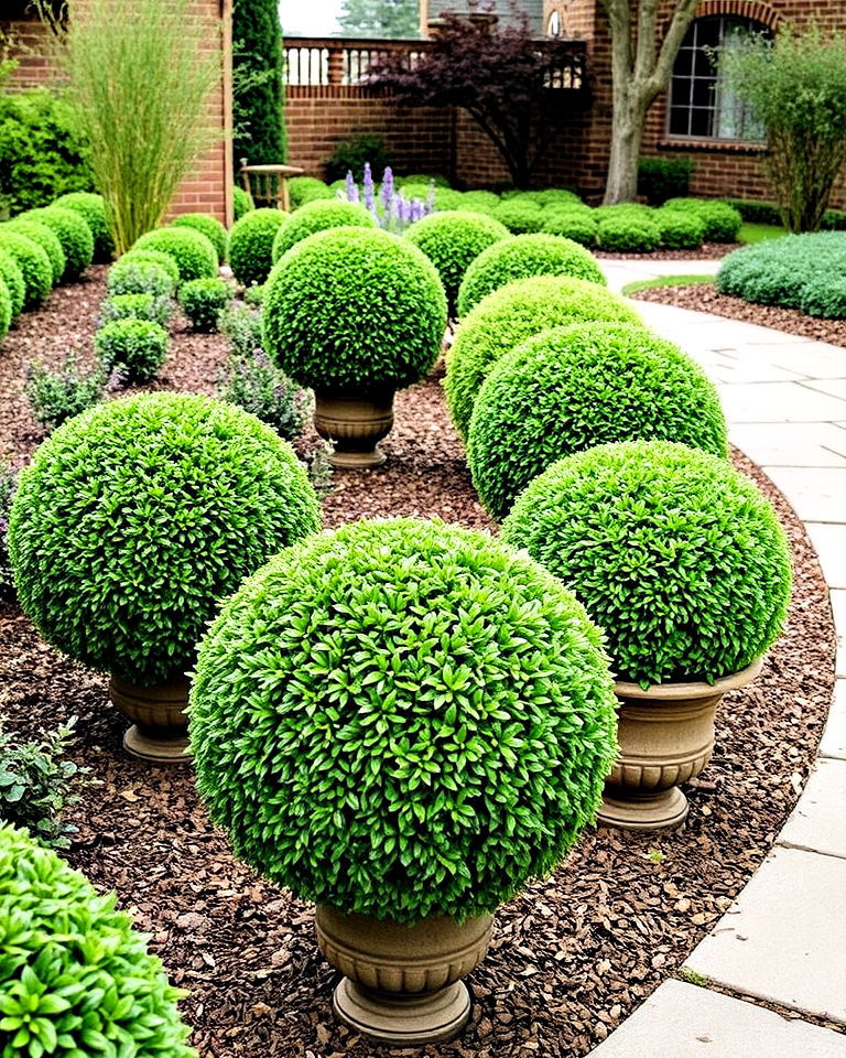 introduce charm with boxwood spheres - 25 Boxwood Landscaping Ideas