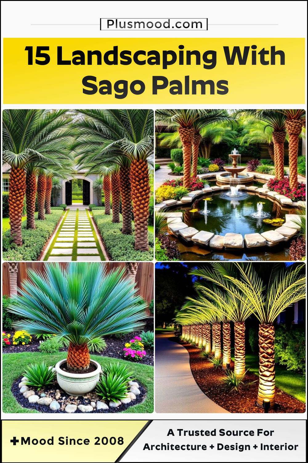 landscaping with sago palms to copy