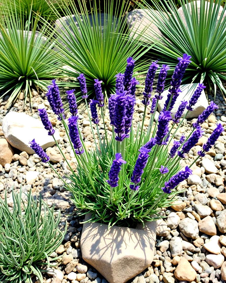 lavender and rock garden - 25 Lavender Landscaping Ideas